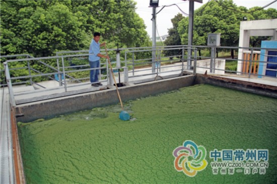 藻水分離