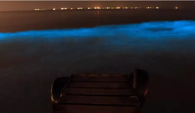 秦皇島熒光海