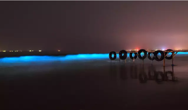 秦皇島熒光海