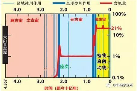 圖3 藻類出現(xiàn)提高早期地球大氣的氧含量并促進(jìn)了高等生物進(jìn)化(圖片來(lái)源于網(wǎng)絡(luò))