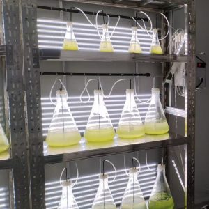 實(shí)驗(yàn)室專用！光語生物光照培養(yǎng)架GY-23PYJ-04