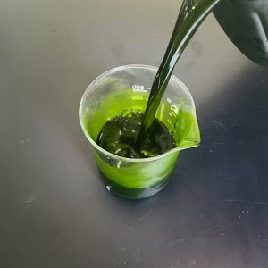 光語異養(yǎng)發(fā)酵罐小球藻藻液（120億細(xì)胞/ml）