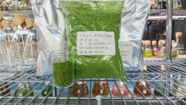 光語(yǔ)蛋白核小球藻